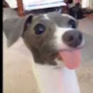 Meet your Posher, Heath